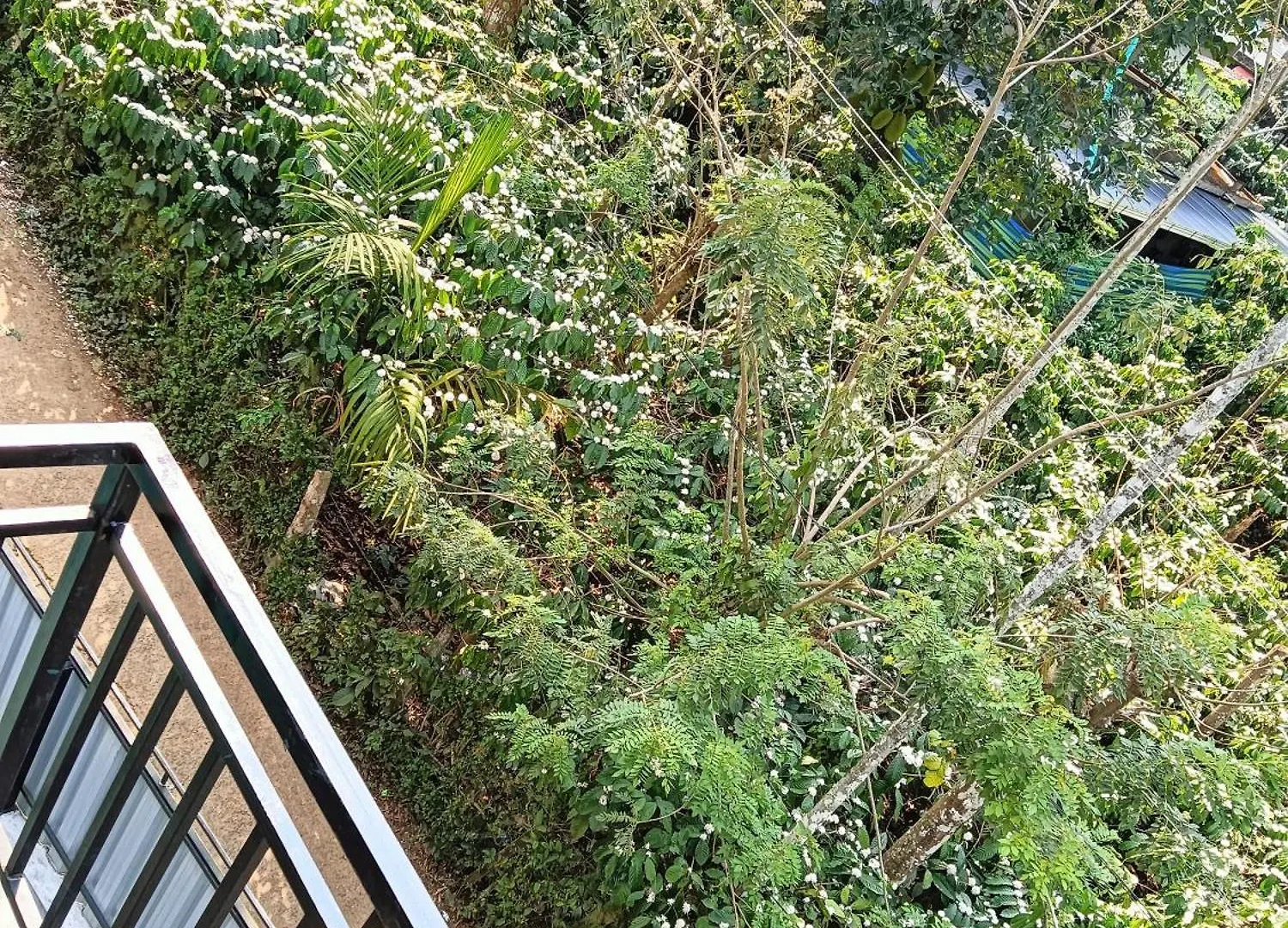 Apartment Tea Vista Holiday Home Kalpetta